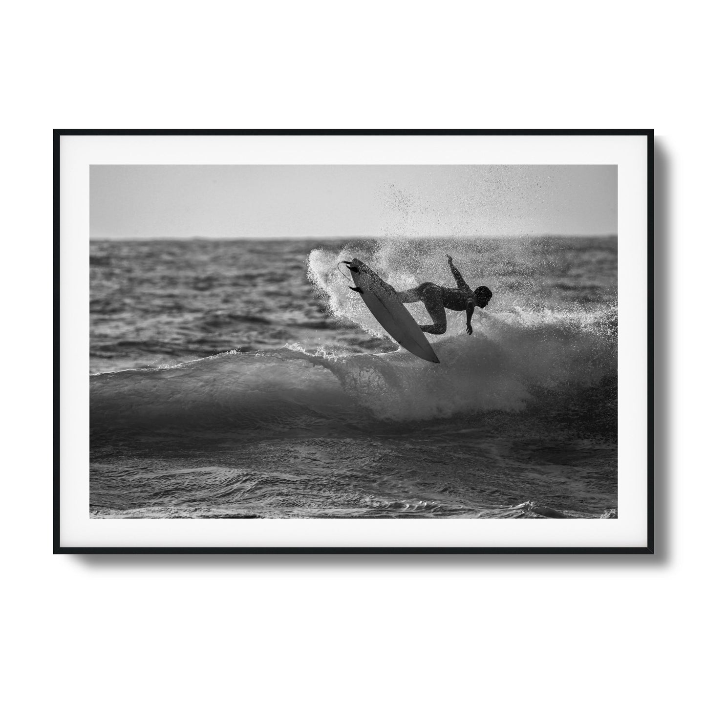 Airborne Framed Art