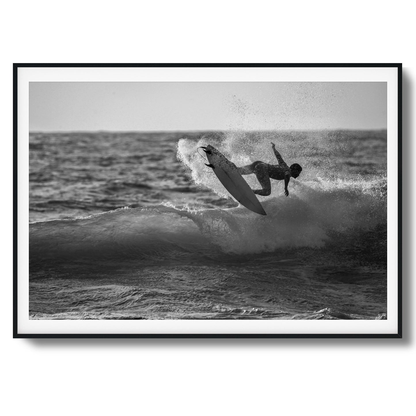 Airborne Framed Art