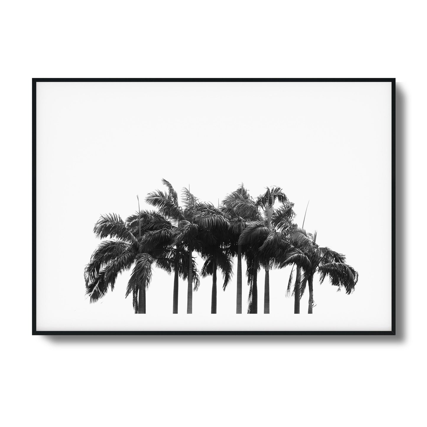 Black & White Palm Cluster Framed Art