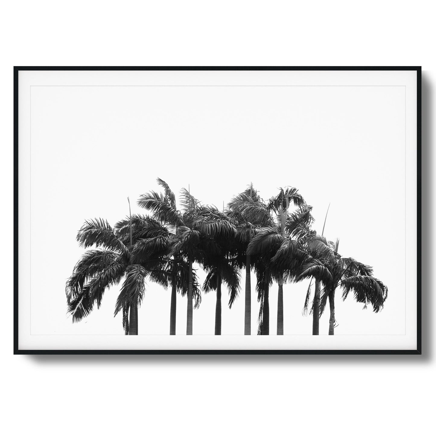 Black & White Palm Cluster Framed Art