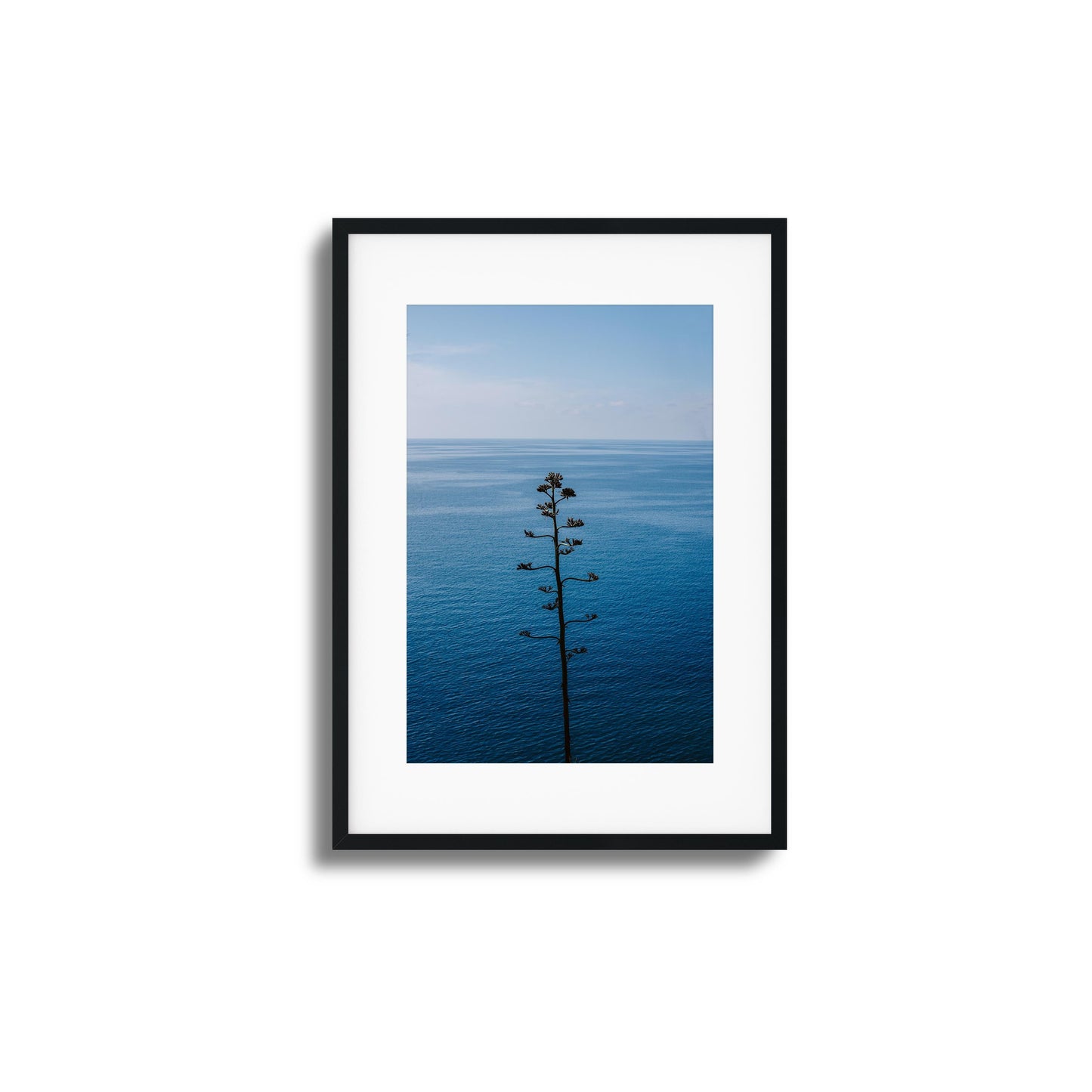Bold Bloom Against Blue Framed Art