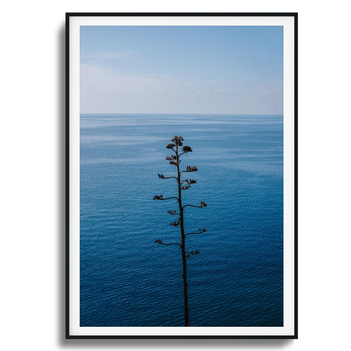 Bold Bloom Against Blue Framed Art