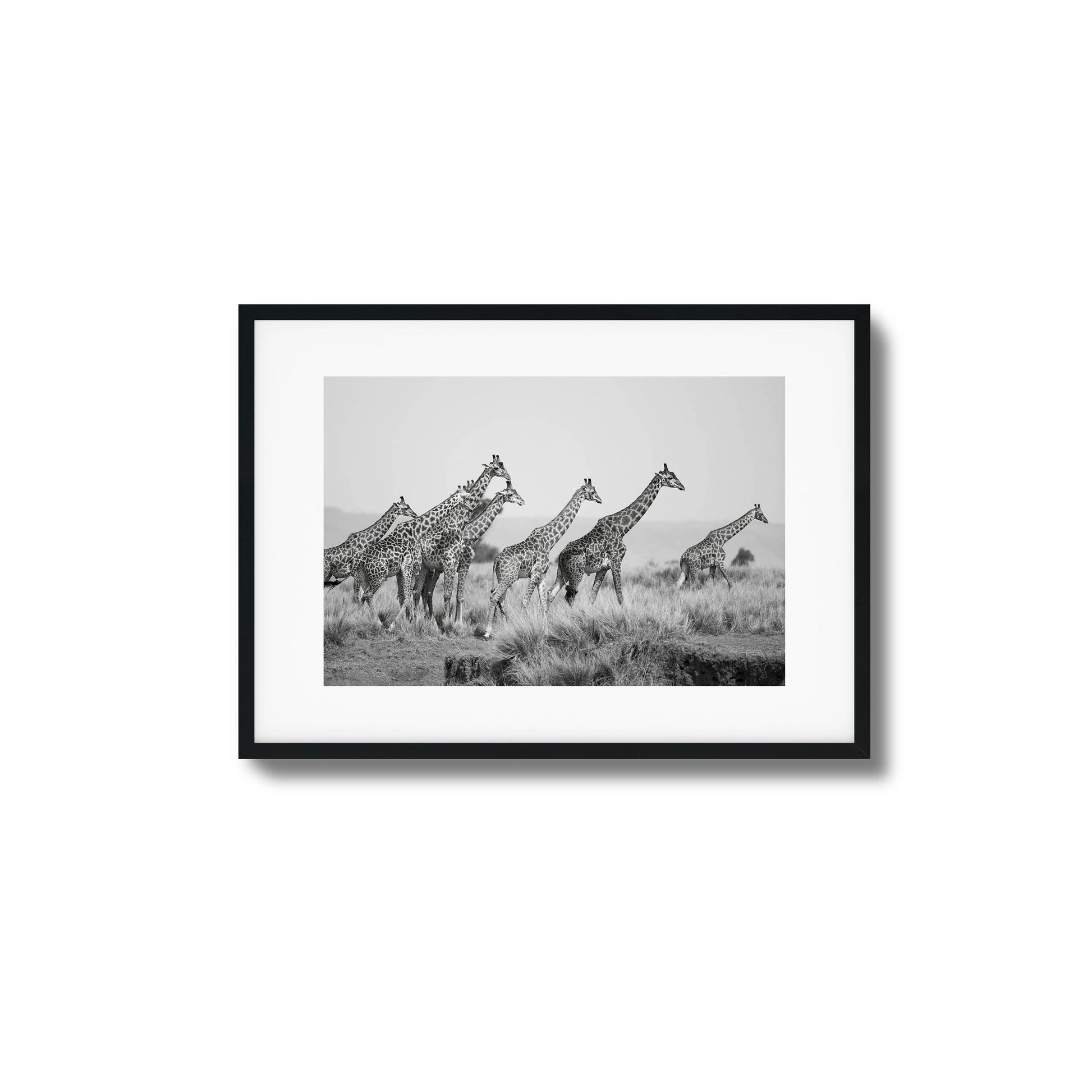 Grace Framed Art - Assure Spark