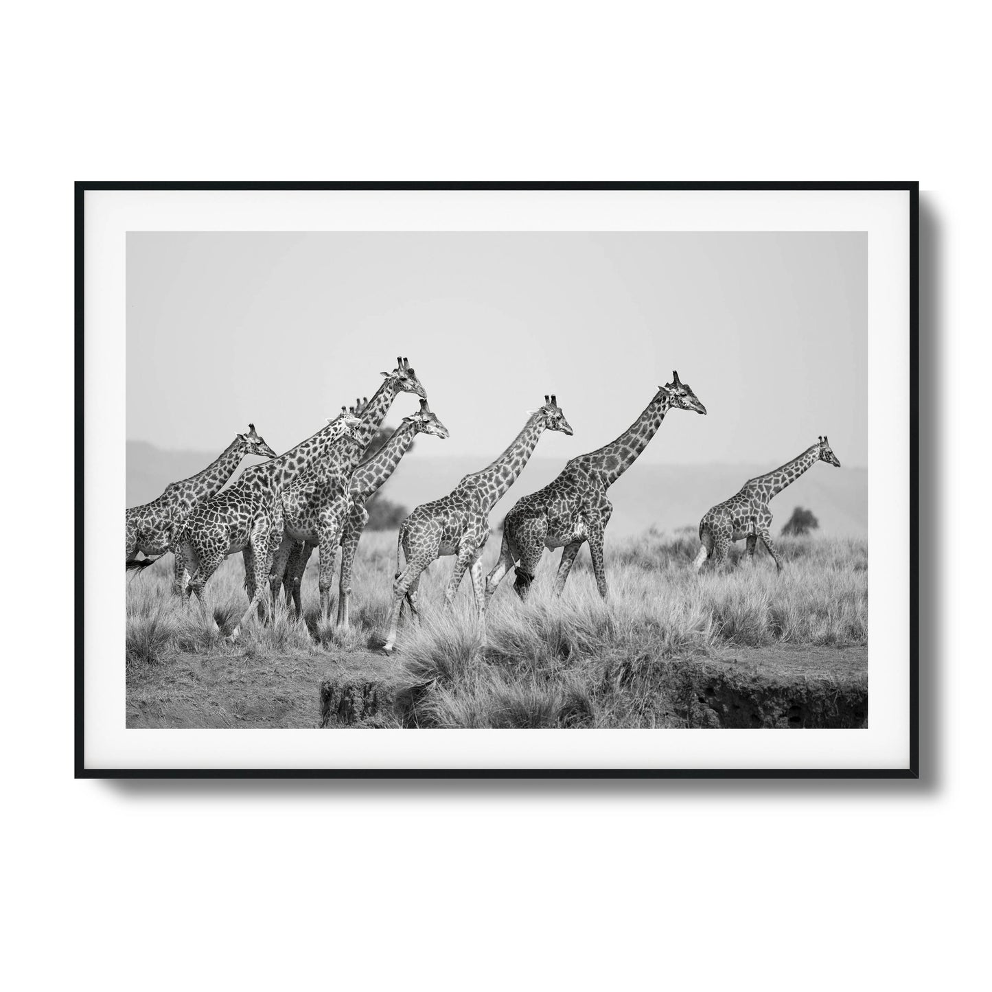 Grace Framed Art - Assure Spark