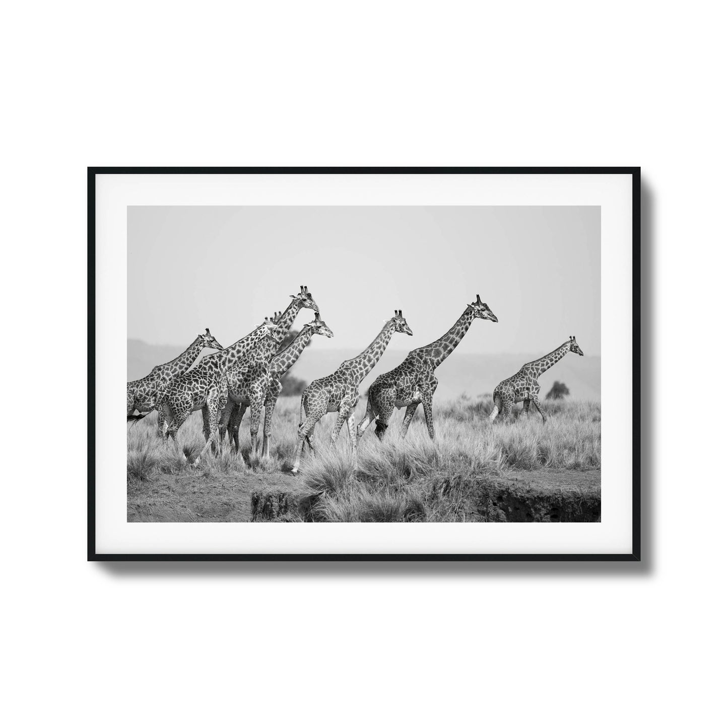 Grace Framed Art - Assure Spark