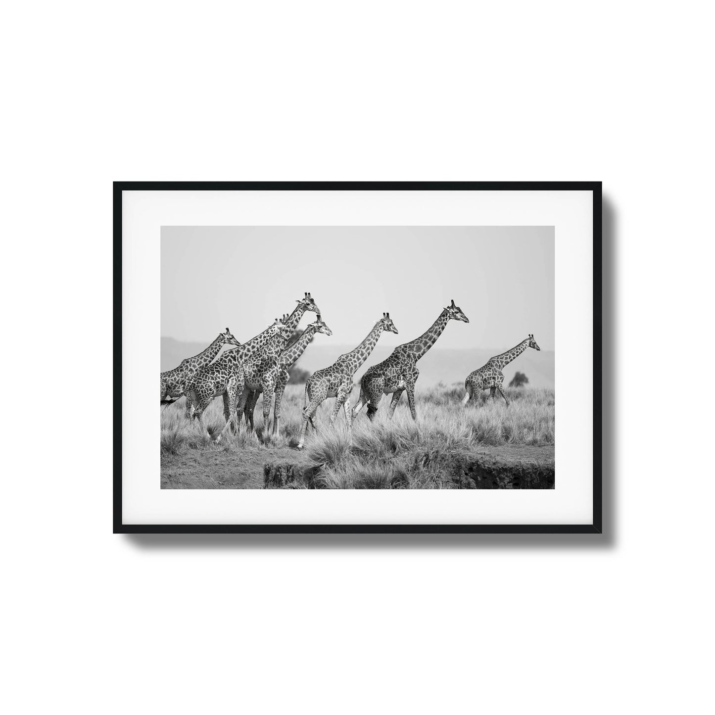 Grace Framed Art - Assure Spark