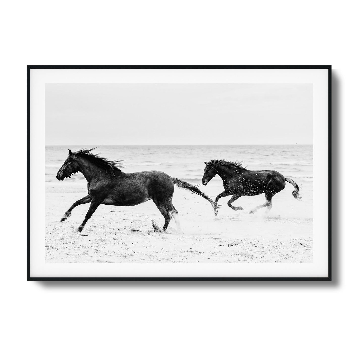 Horses on Beach Black and White Framed Art