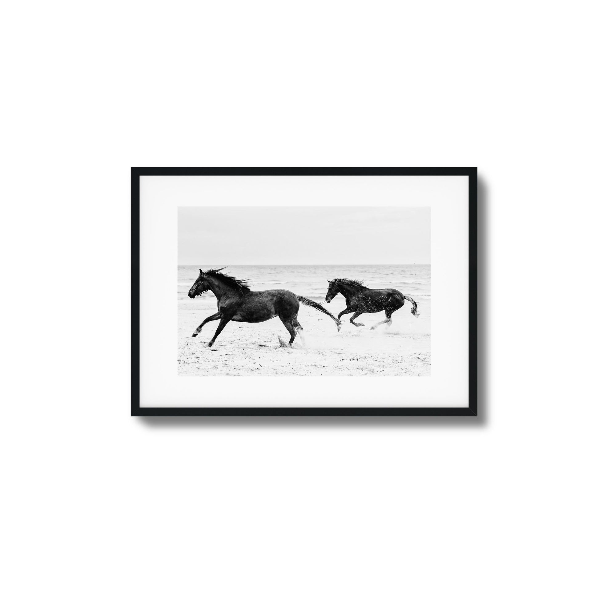Horses on Beach Black and White Framed Art - Assure Spark