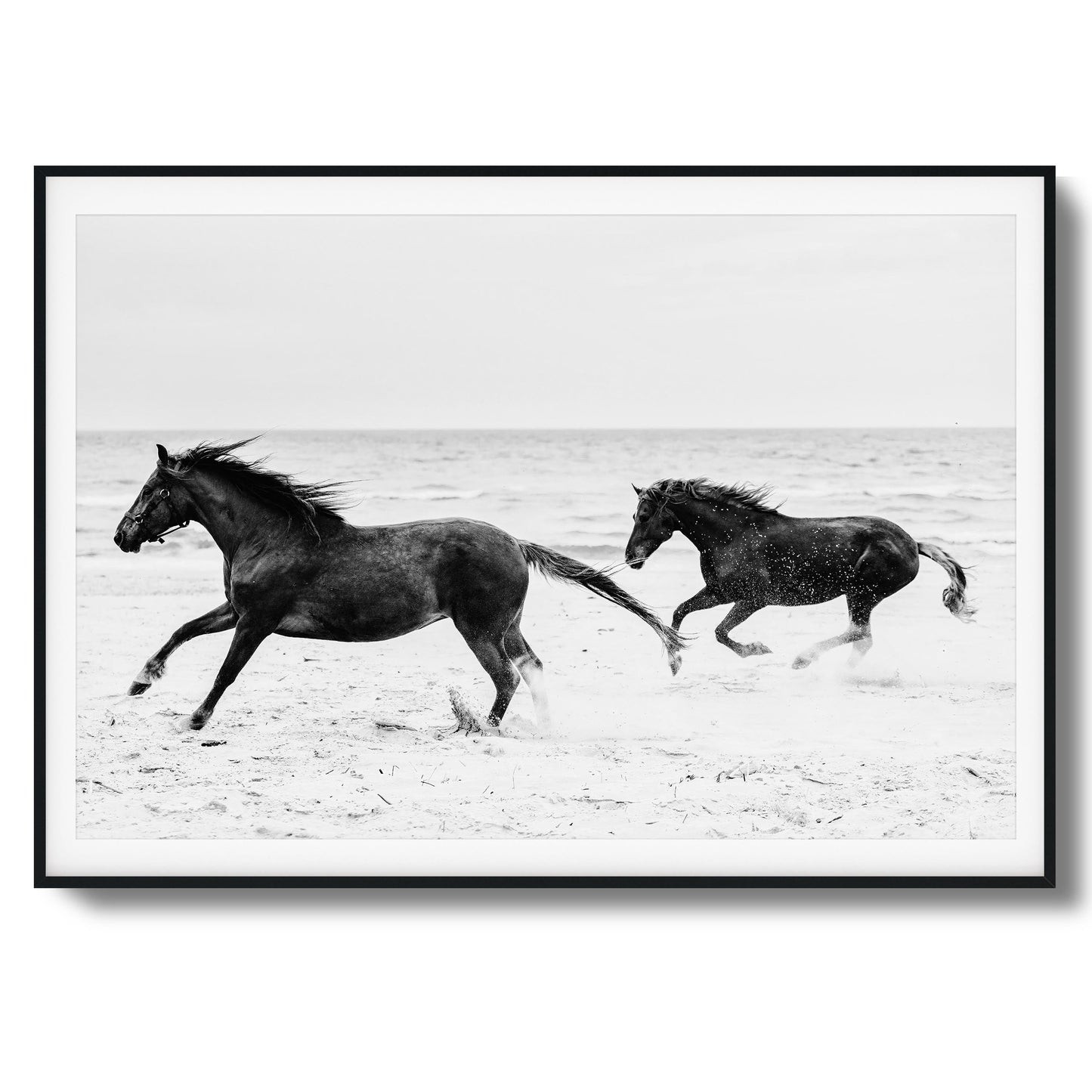 Horses on Beach Black and White Framed Art