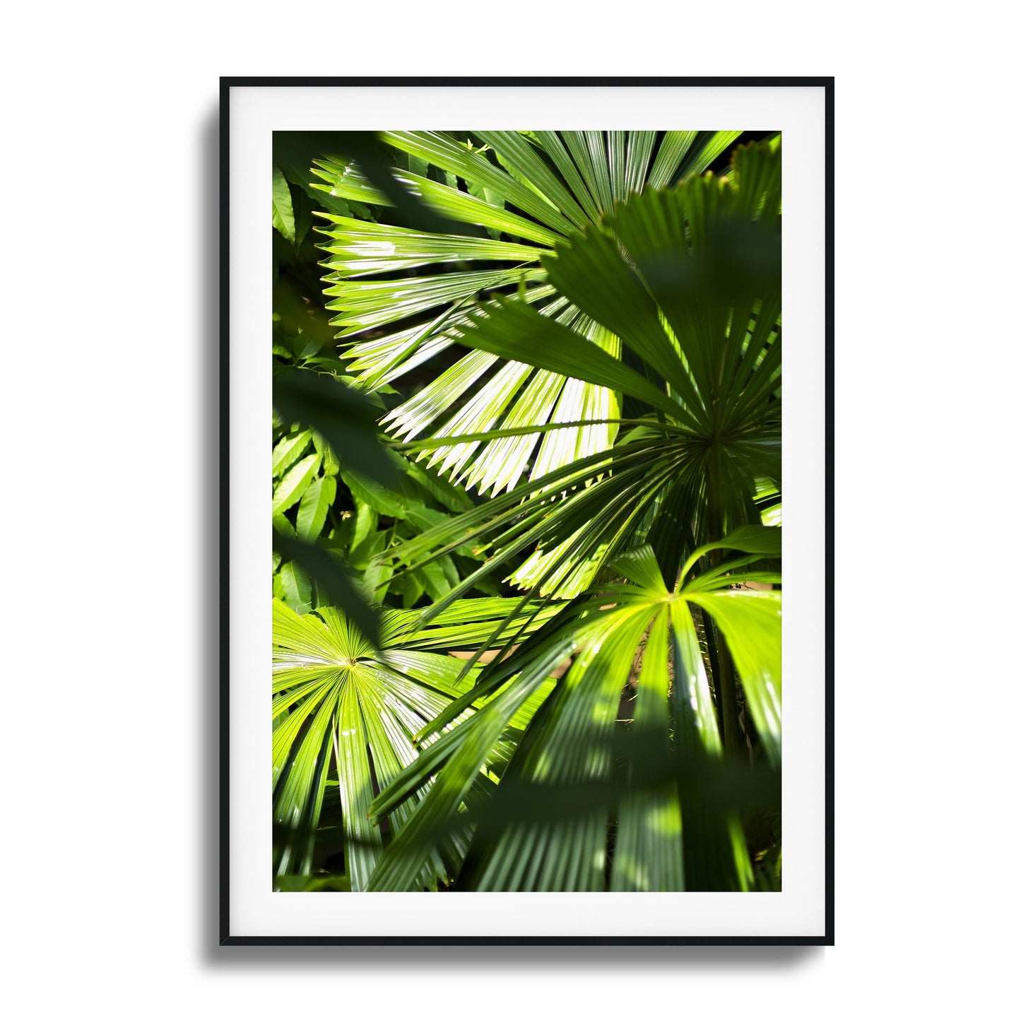 Jungle Light Framed Art