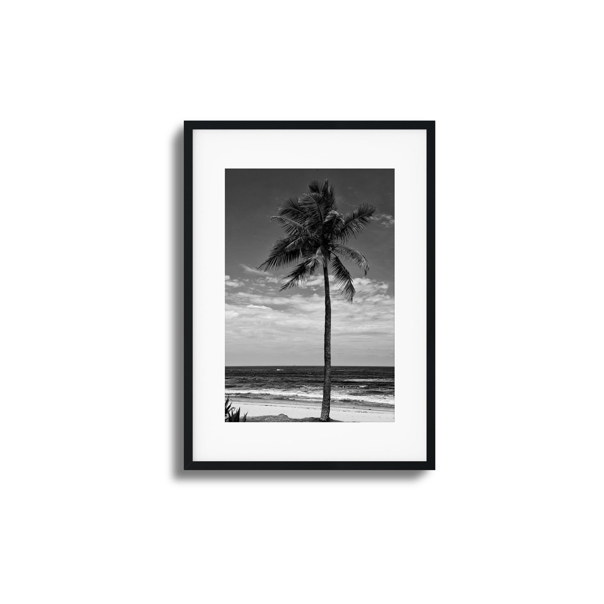 Lone Palm Black and White Framed Art - Assure Spark