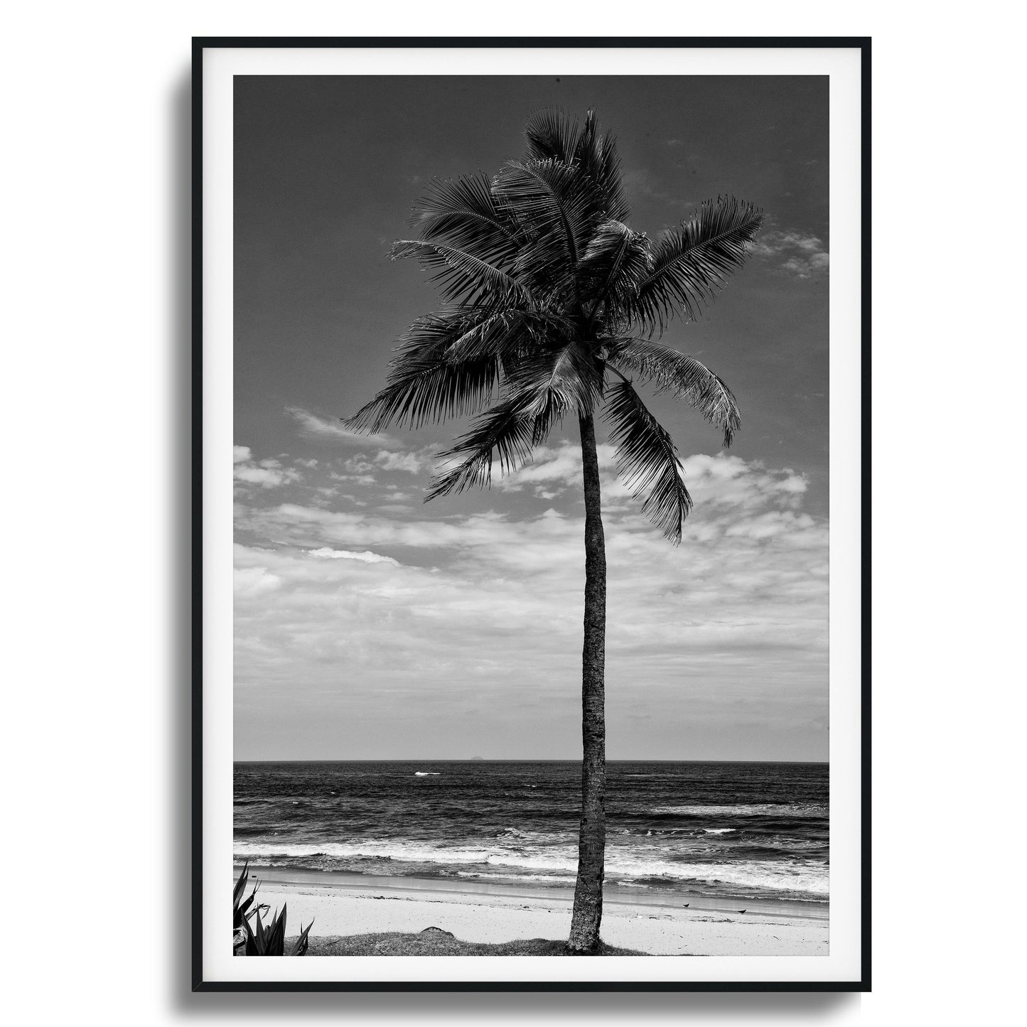 Lone Palm Black and White Framed Art
