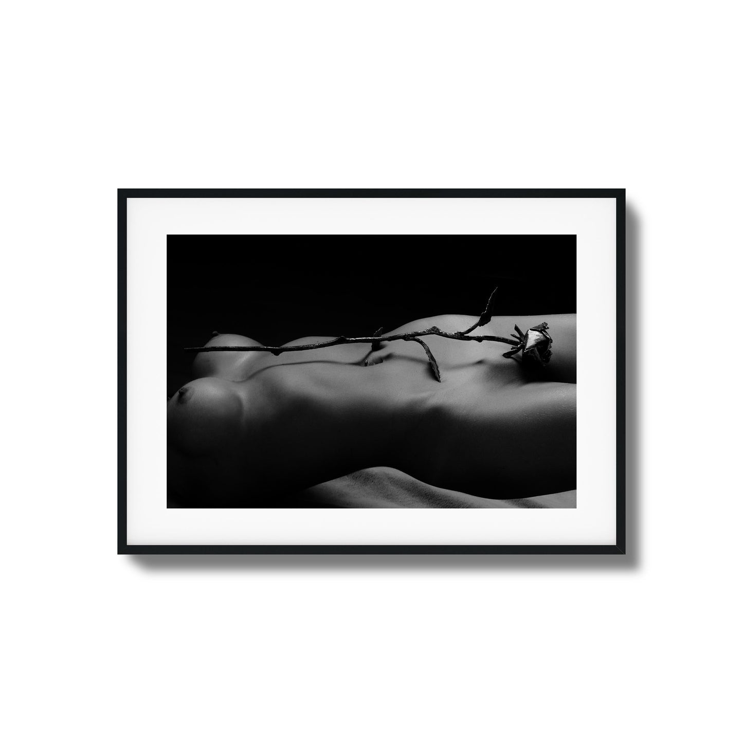 Rose and Nude Framed Art