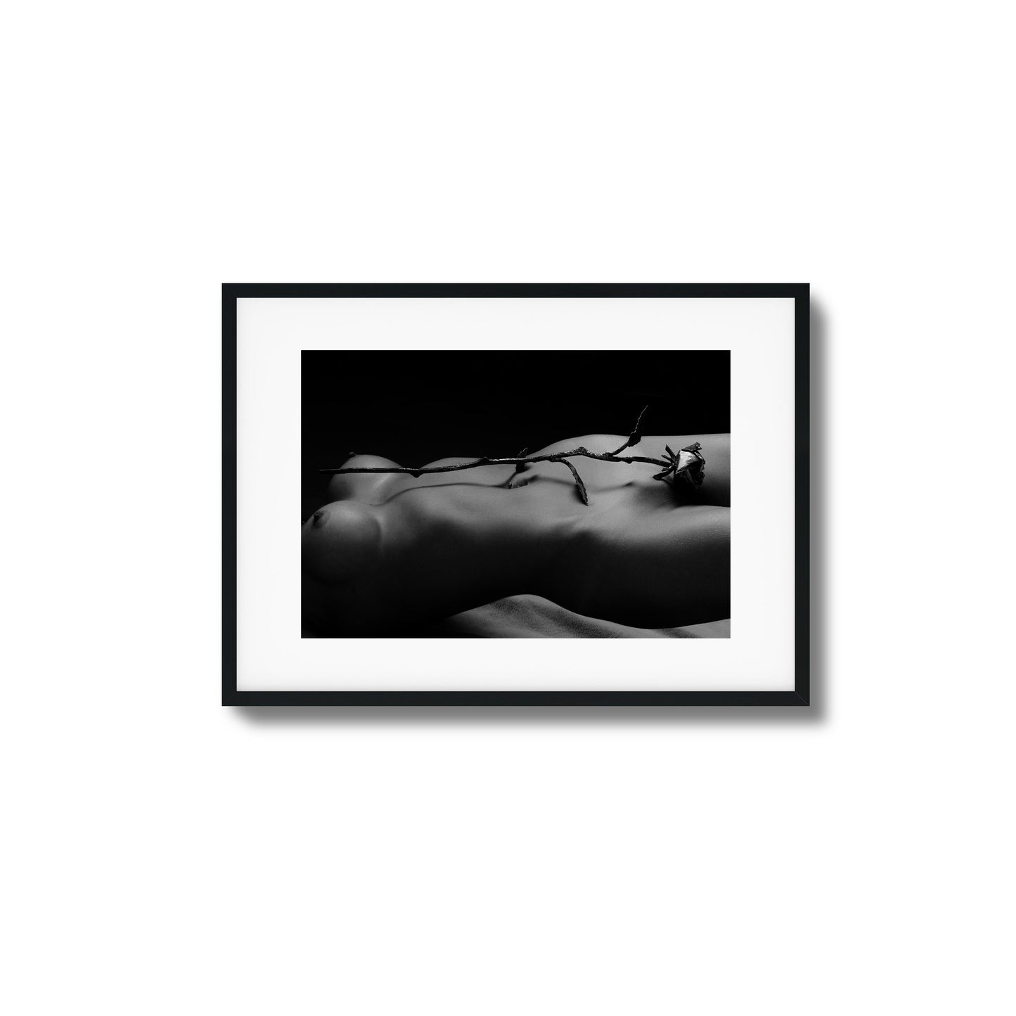 Rose and Nude Framed Art