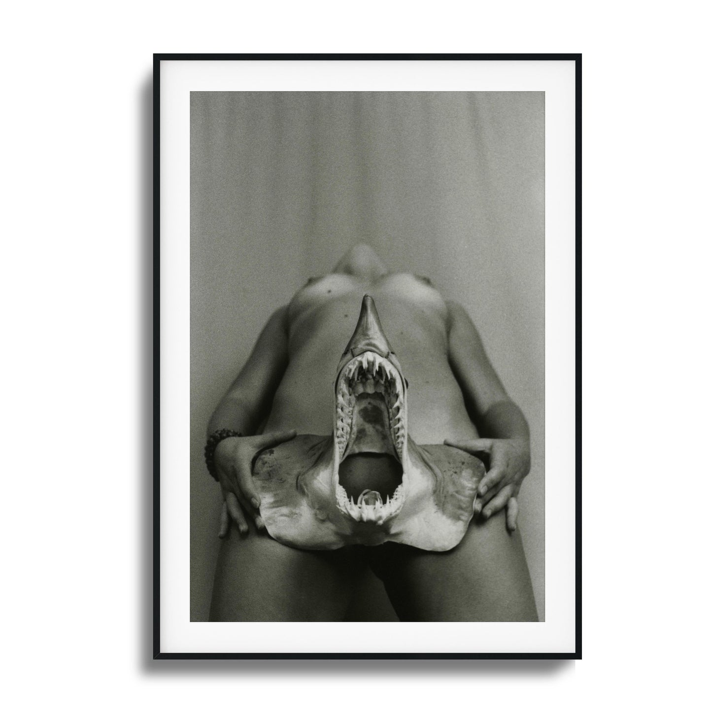 Shark Bite Tease Framed Art