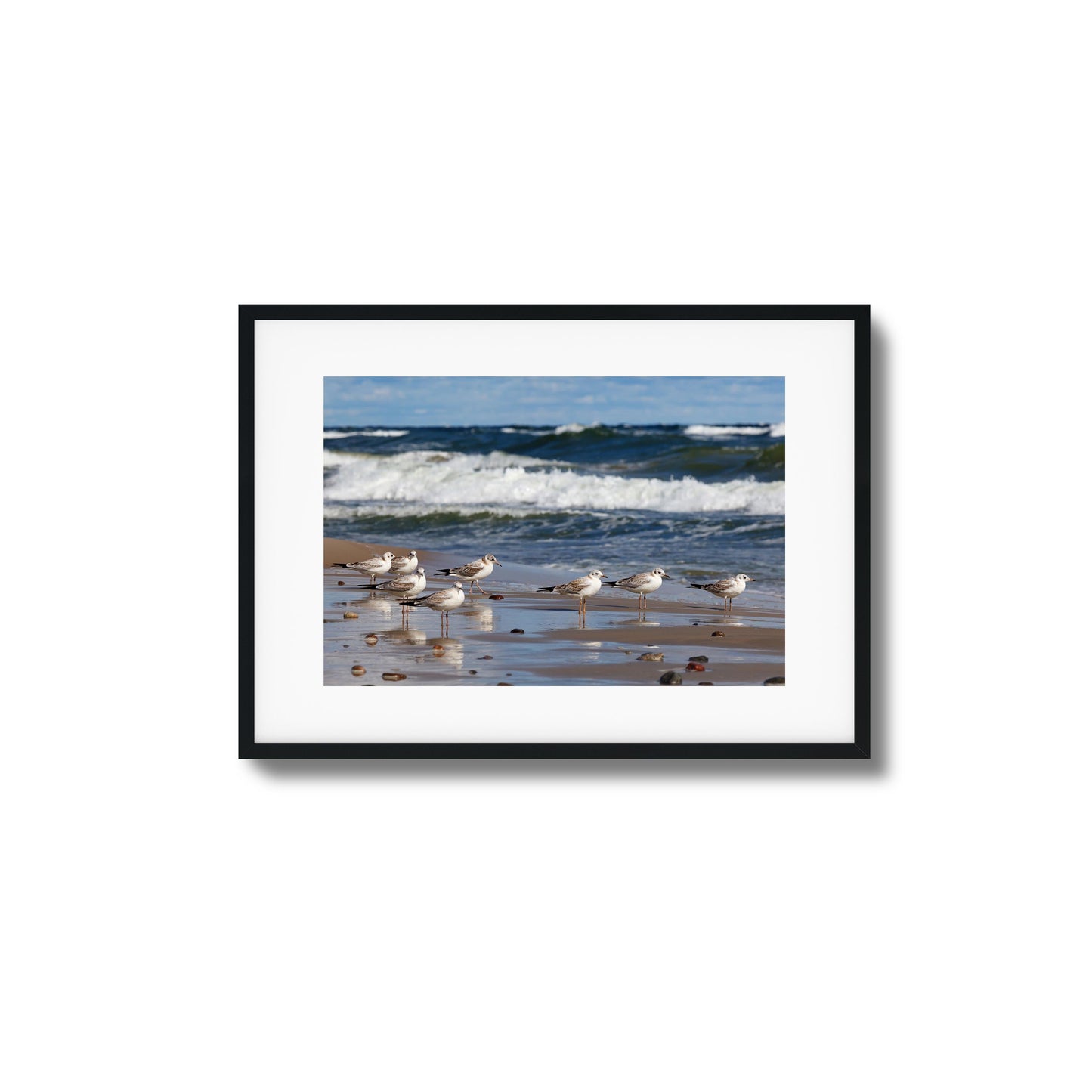 Shore Birds Gathering Framed Art
