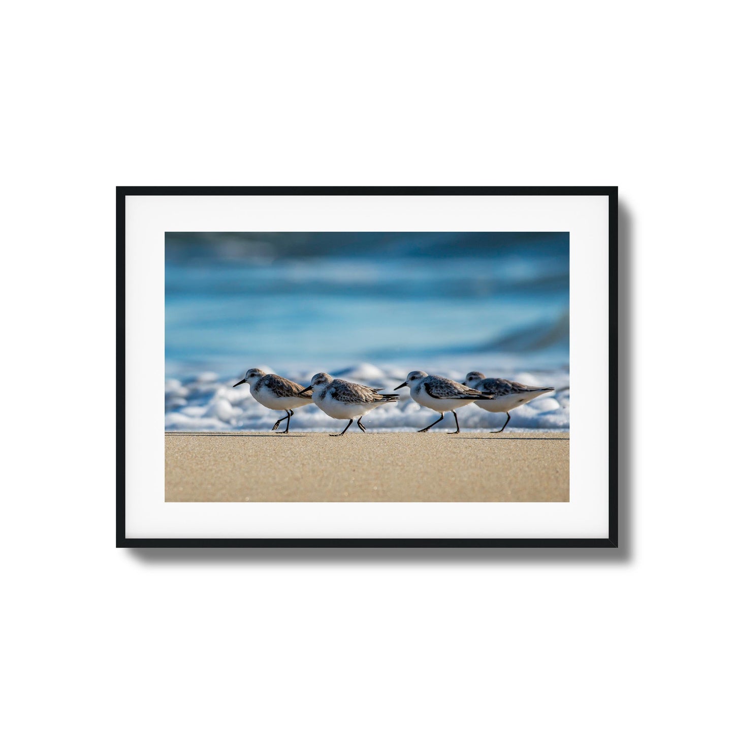 Shoreline Birds Framed Art