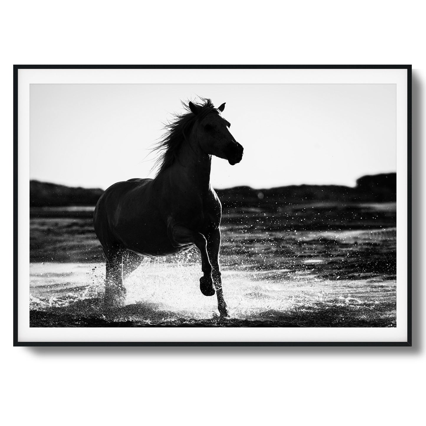 Splashing Stallion Framed Art