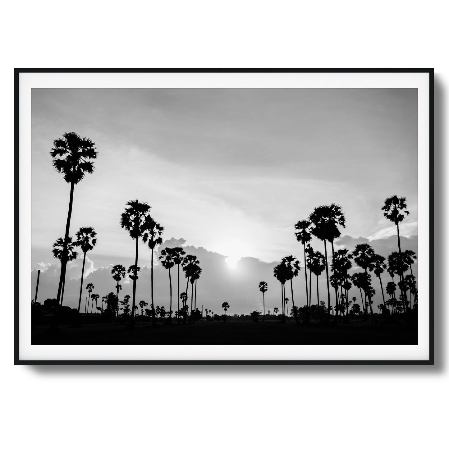 Sunset Palms Framed Art