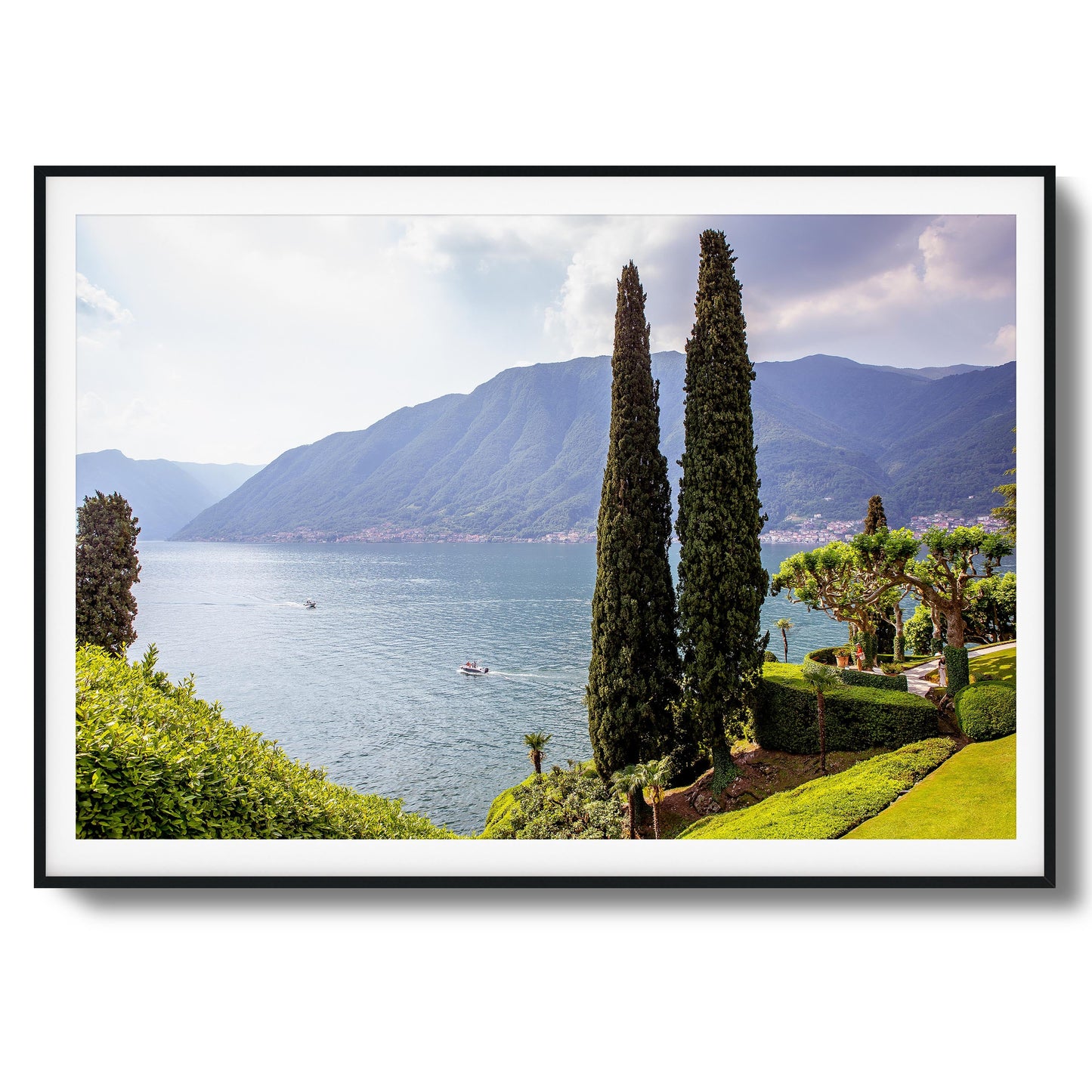 Tall Trees by Peaceful Lake Framed Art