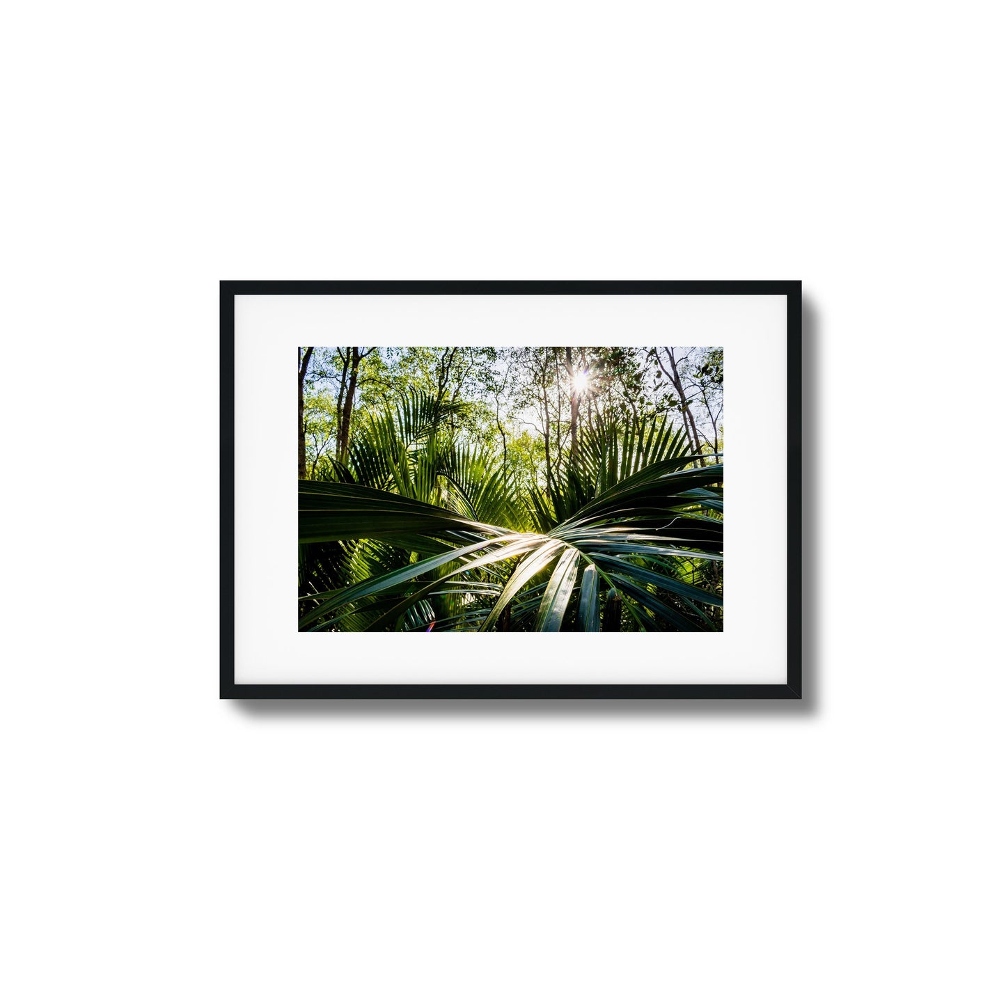 Tropical Jungle Sunburst Framed Art