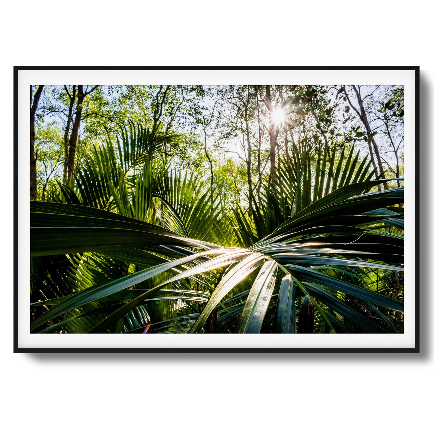 Tropical Jungle Sunburst Framed Art
