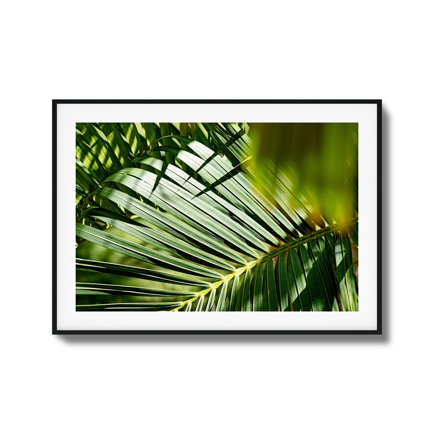 Tropical Light Framed Art