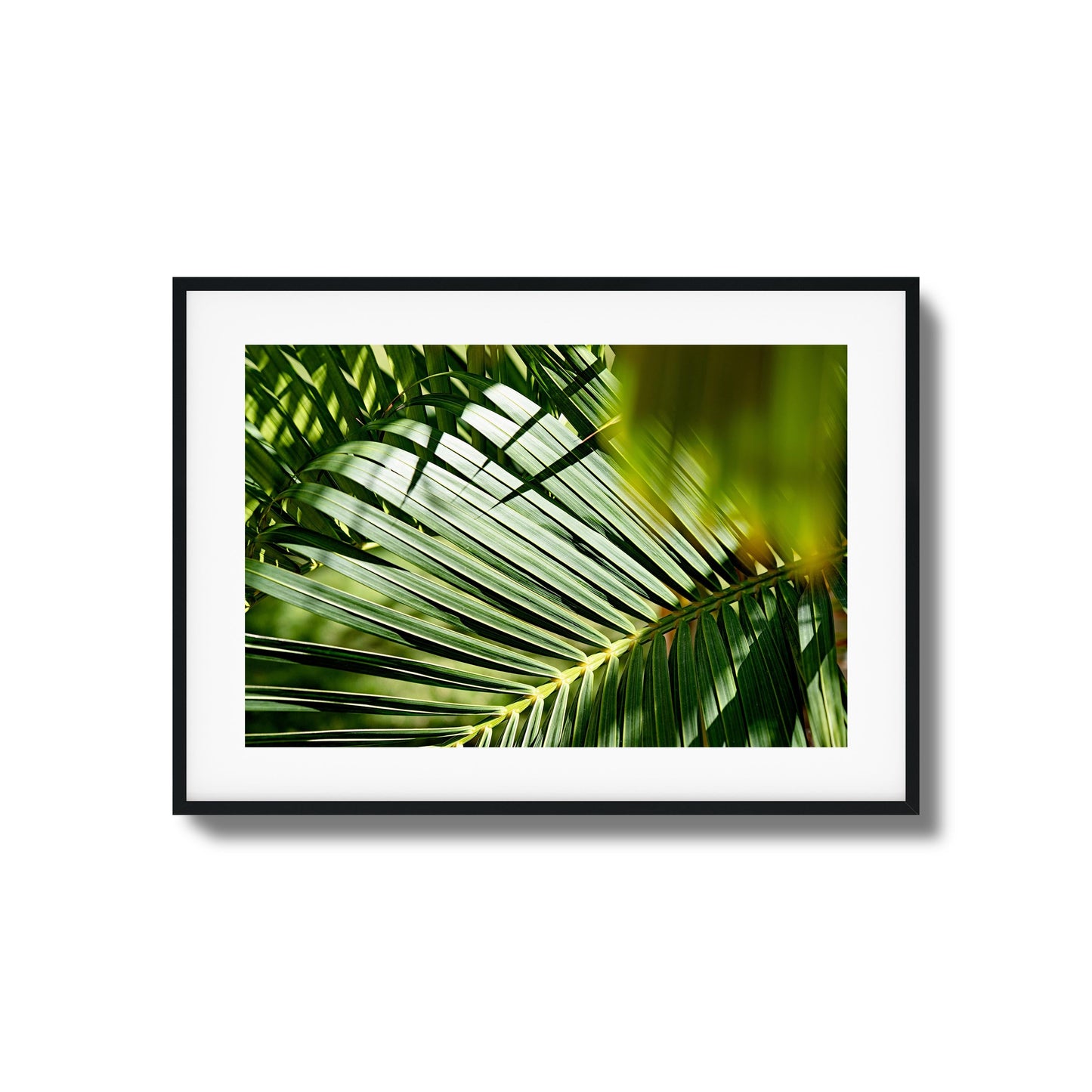 Tropical Light Framed Art
