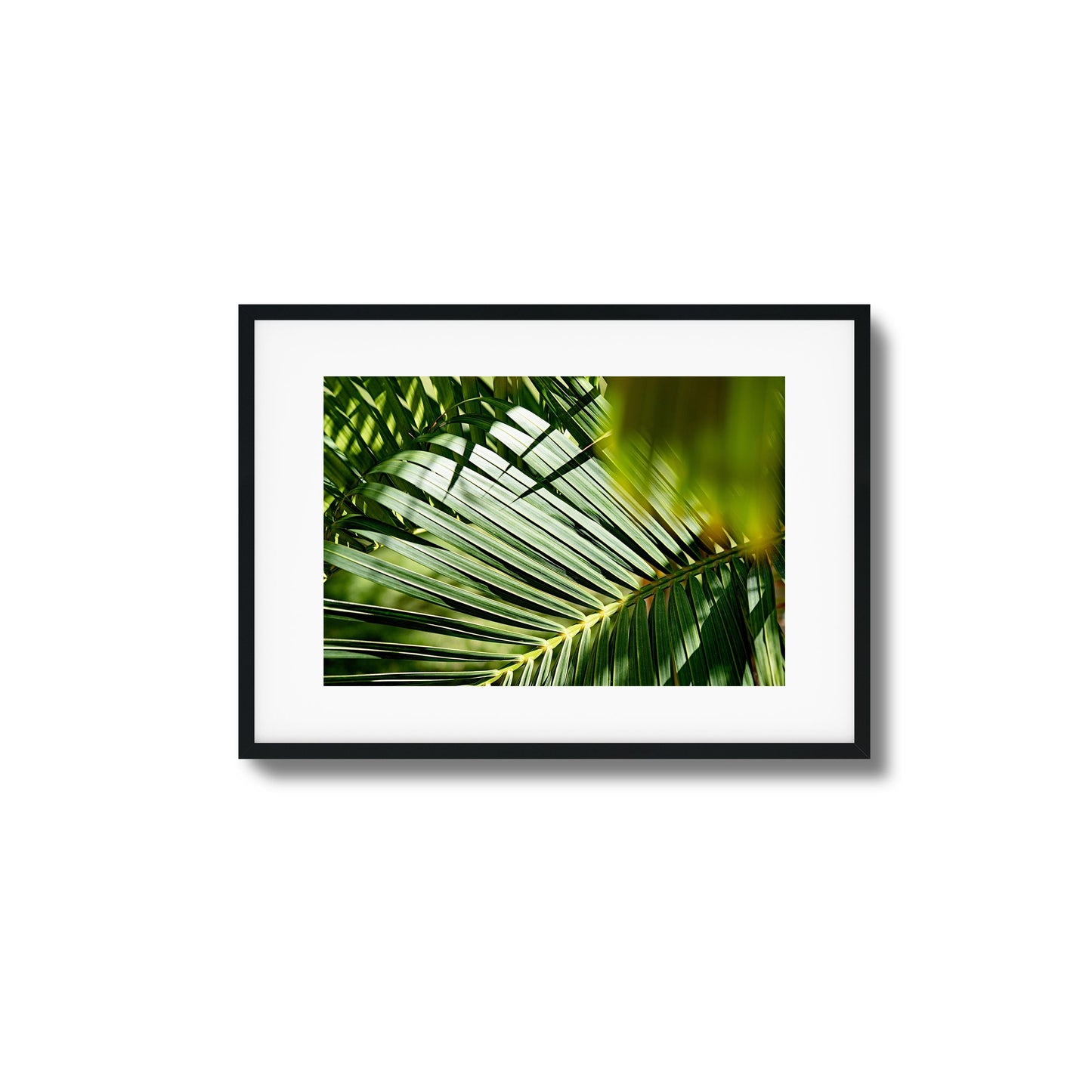Tropical Light Framed Art