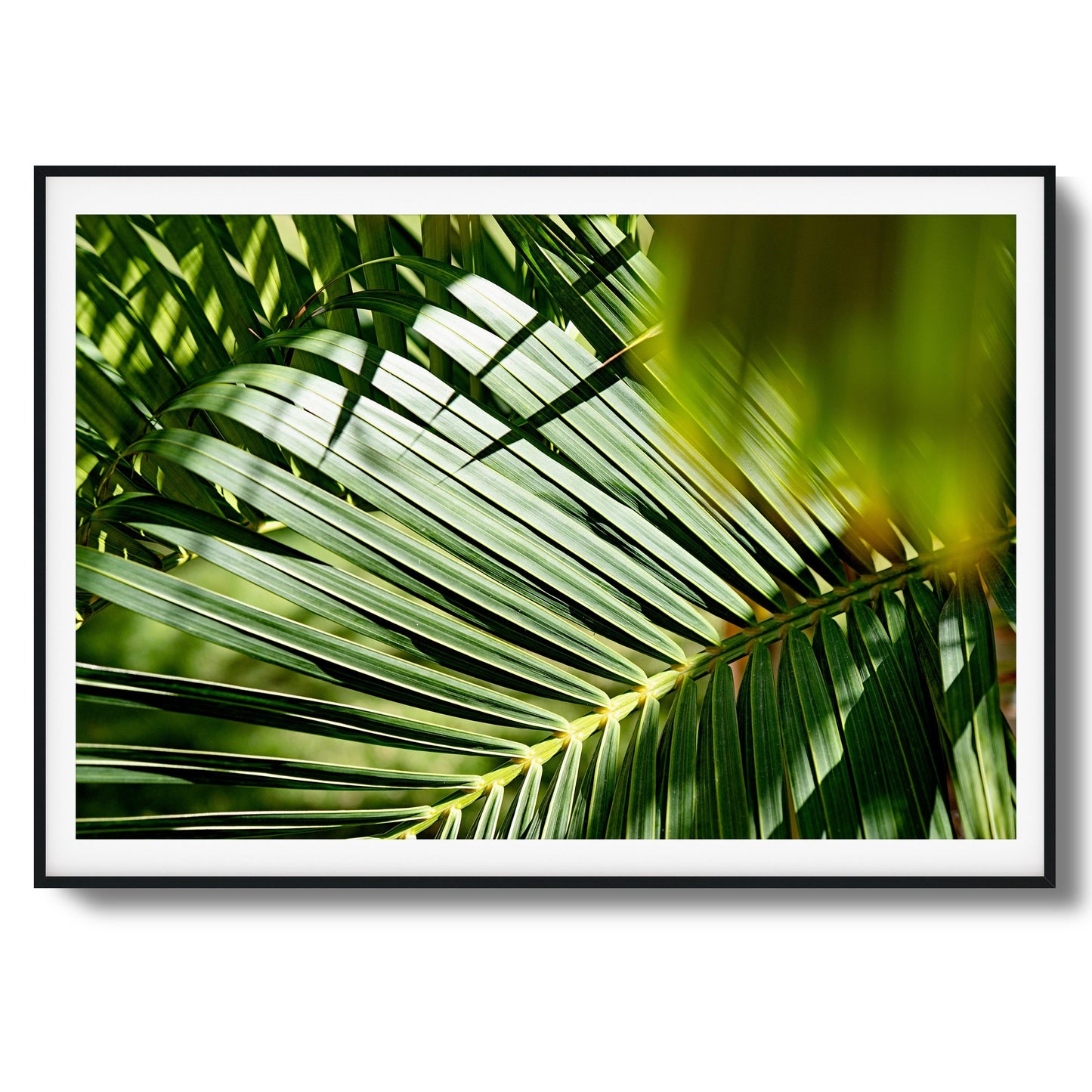 Tropical Light Framed Art