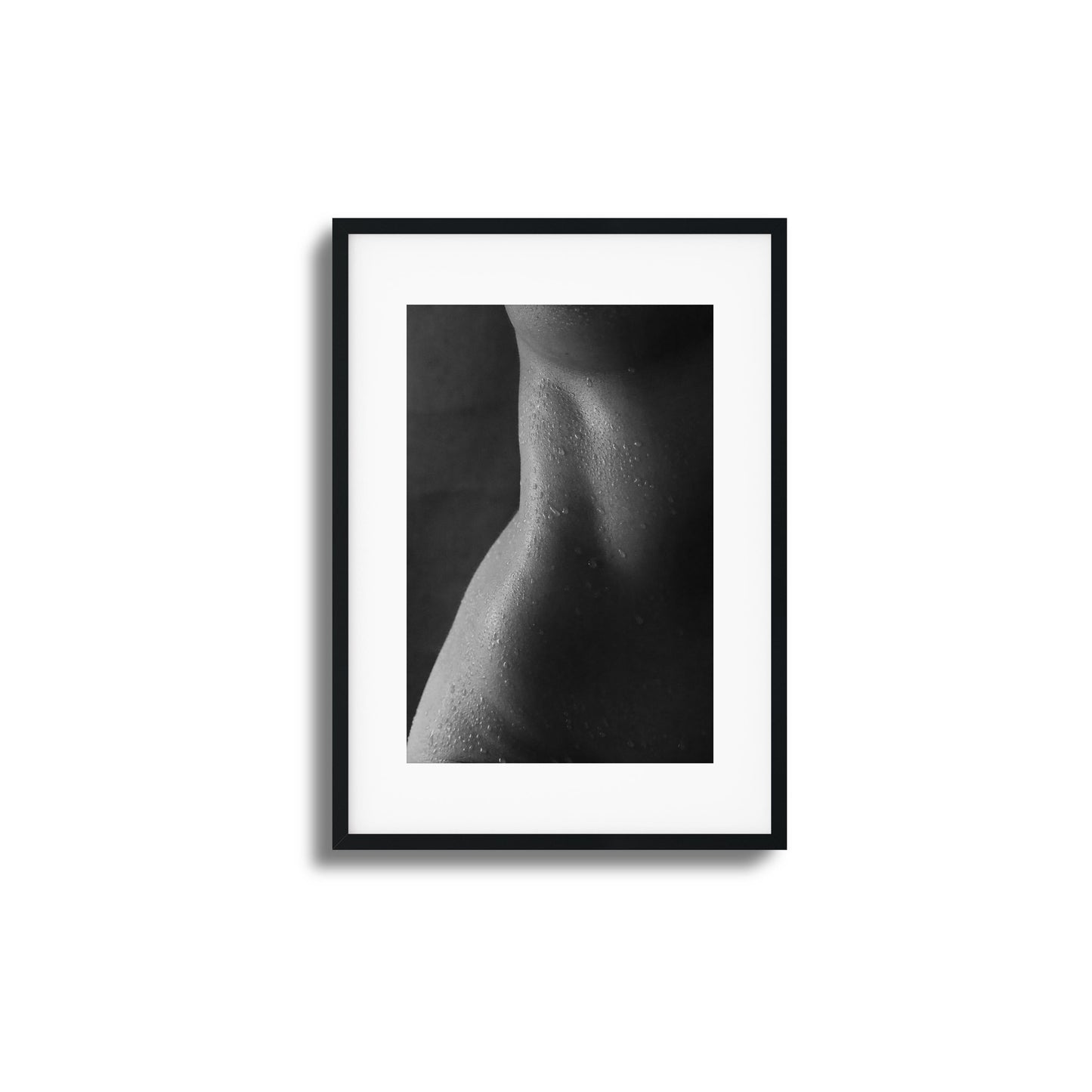Wet Silhouette Framed Art