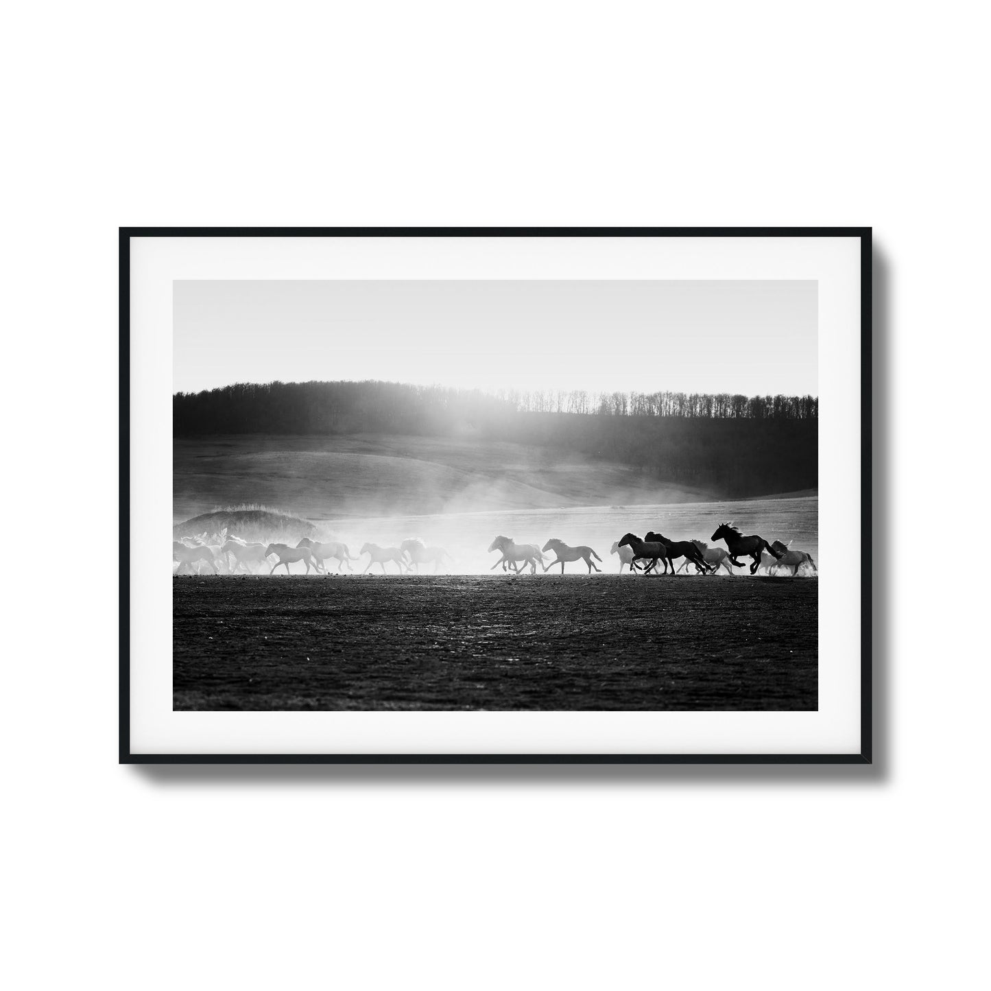 Wild Horse Stampede Framed Art