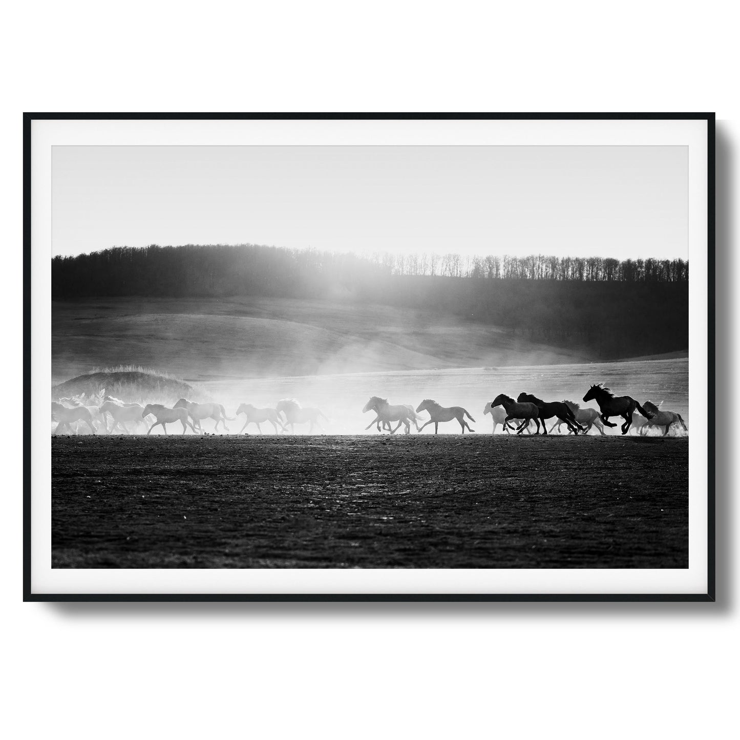 Wild Horse Stampede Framed Art