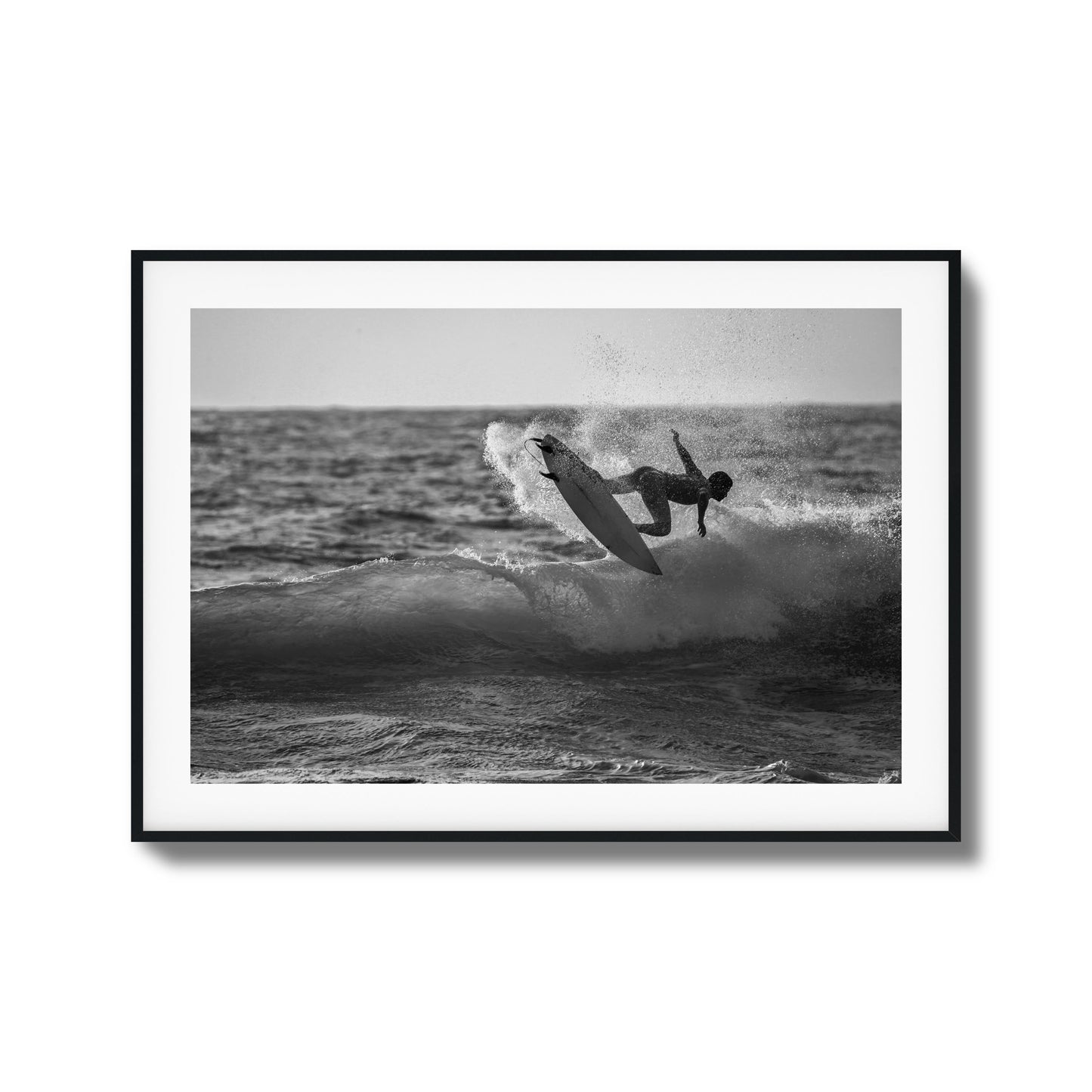 Airborne Framed Art
