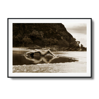 Arcadia Framed Art - Assure Spark