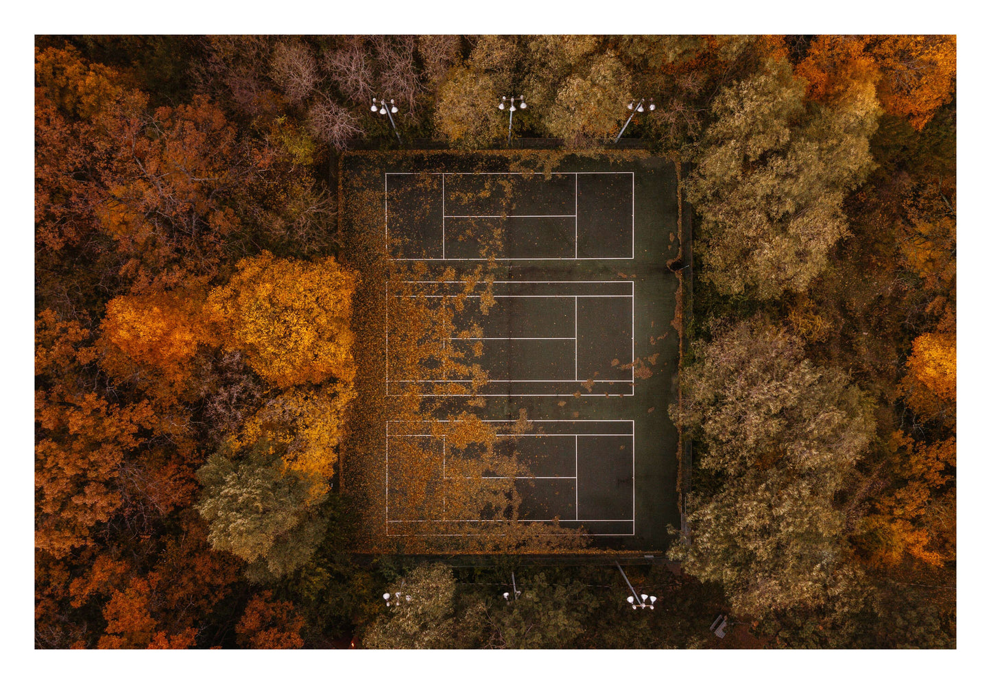 Autumn Court Framed Art