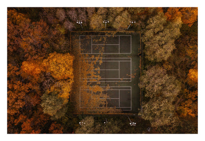 Autumn Court Framed Art