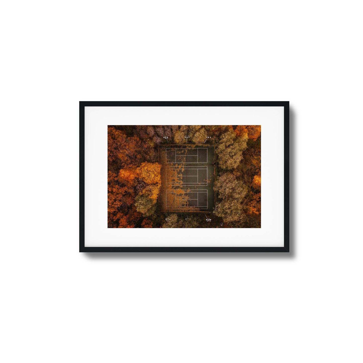 Autumn Court Framed Art