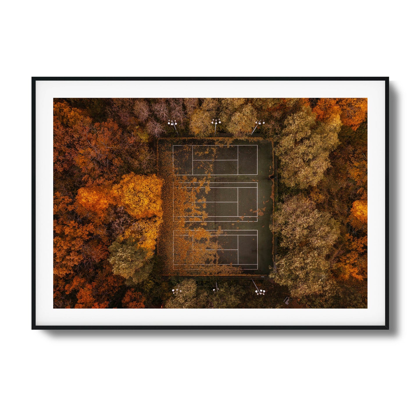 Autumn Court Framed Art