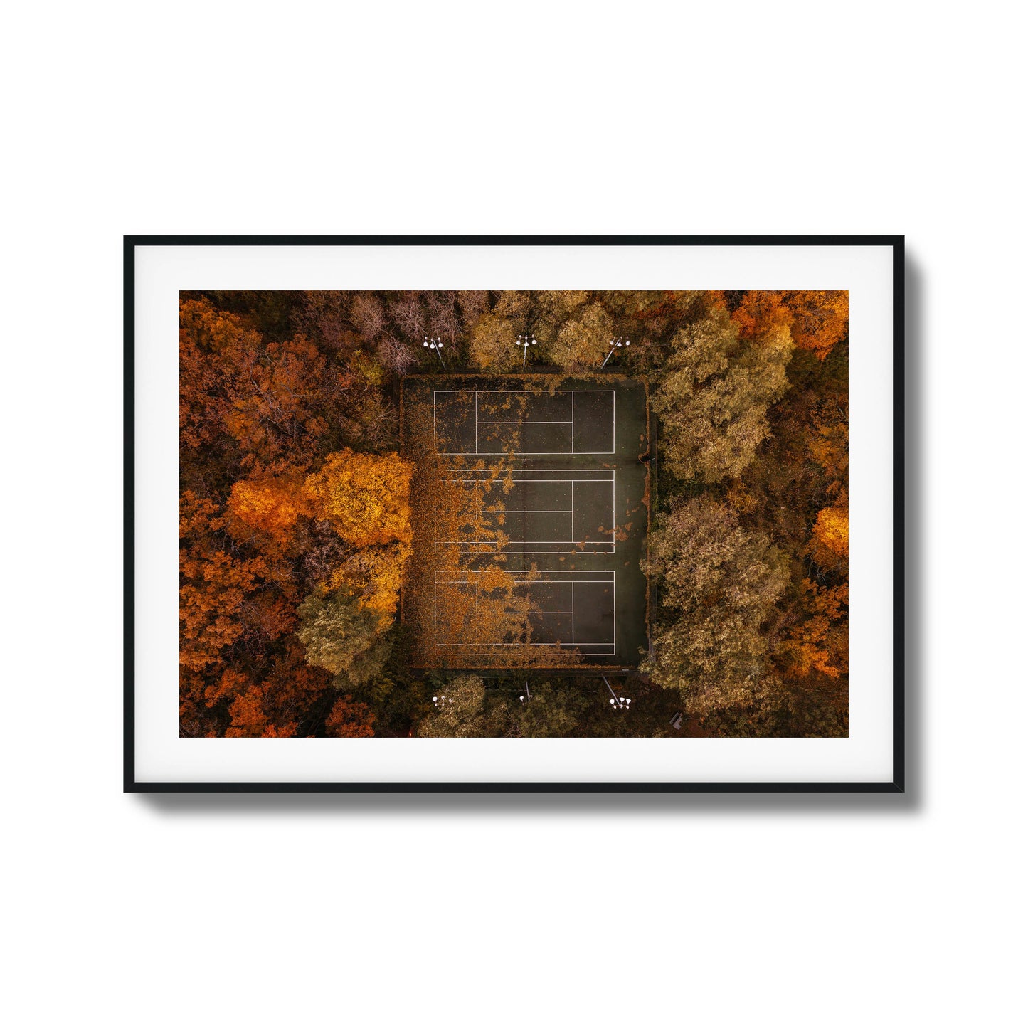 Autumn Court Framed Art