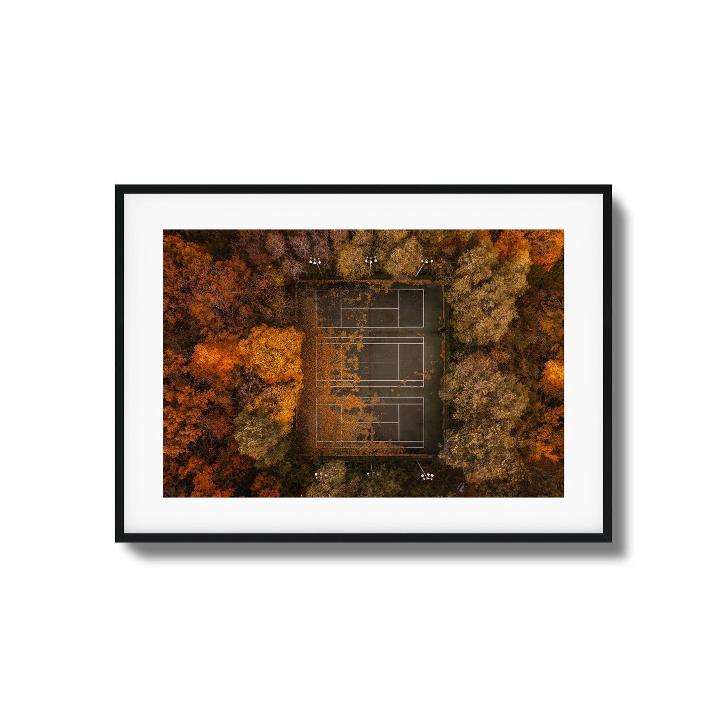 Autumn Court Framed Art