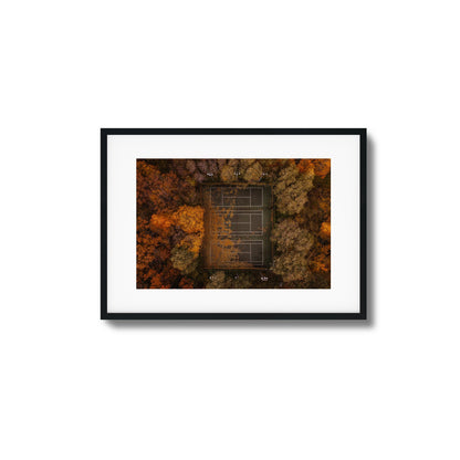 Autumn Court Framed Art
