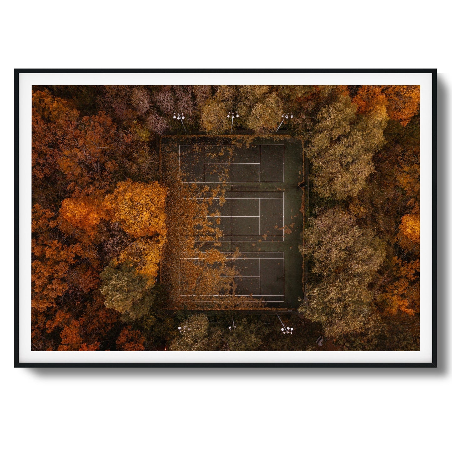 Autumn Court Framed Art