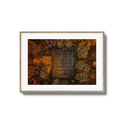 Autumn Court Framed Art
