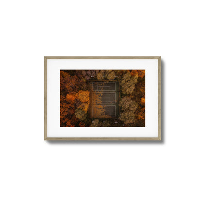 Autumn Court Framed Art