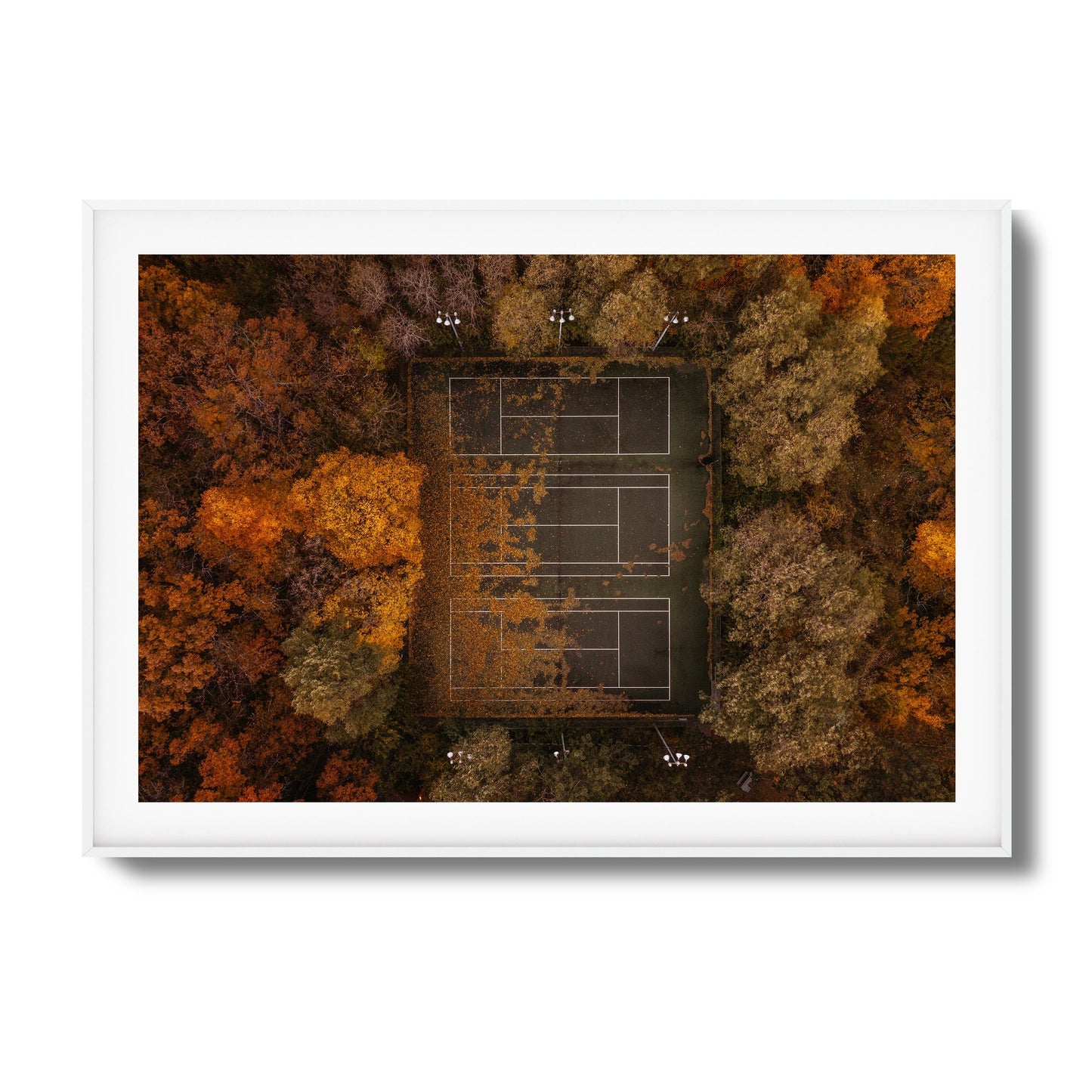 Autumn Court Framed Art