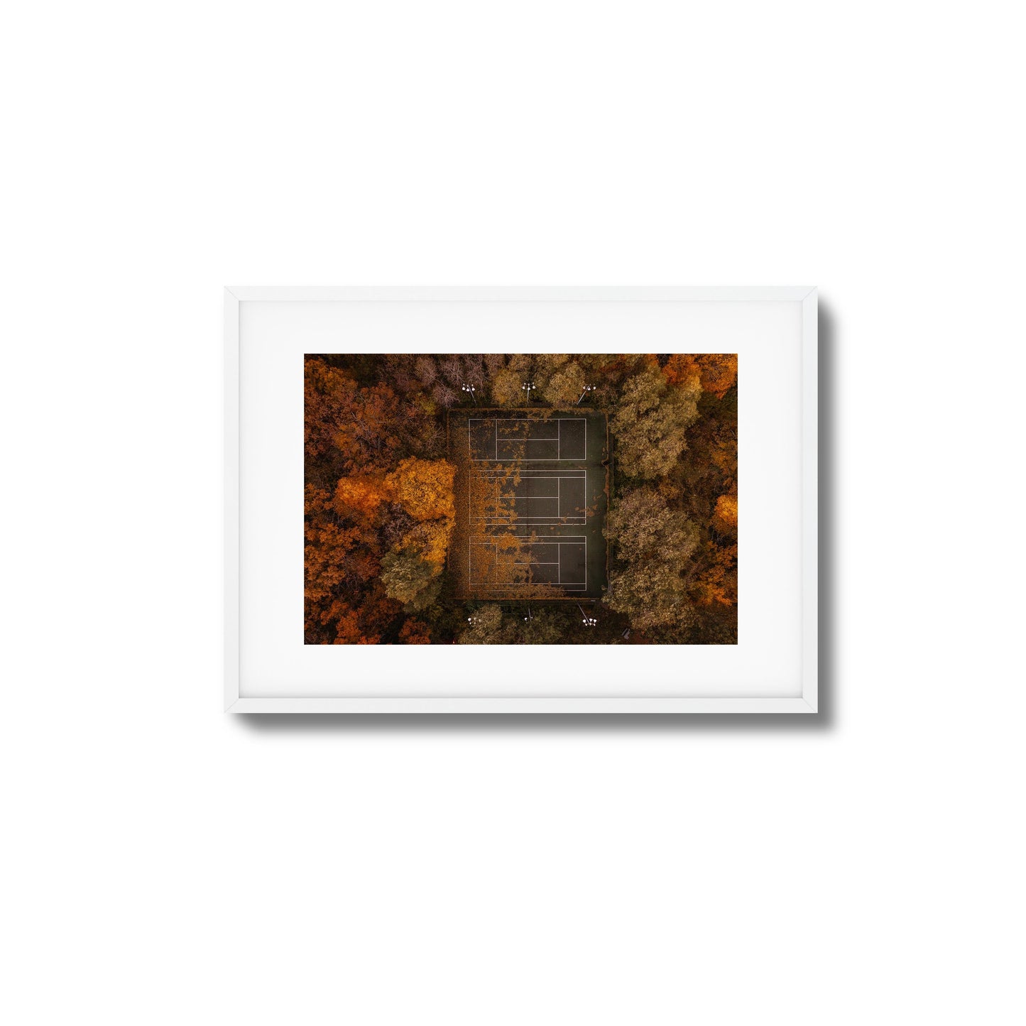 Autumn Court Framed Art