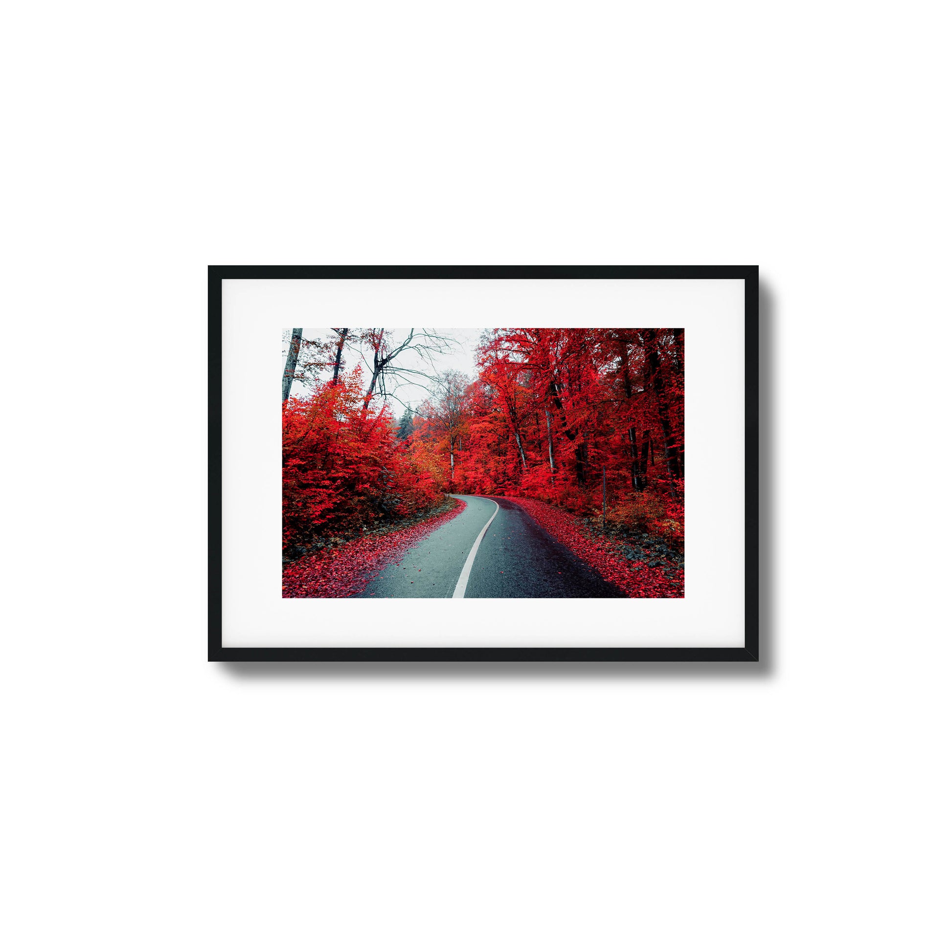 A winding road surrounded by vibrant red autumn trees, a bold choice for framed wall art.