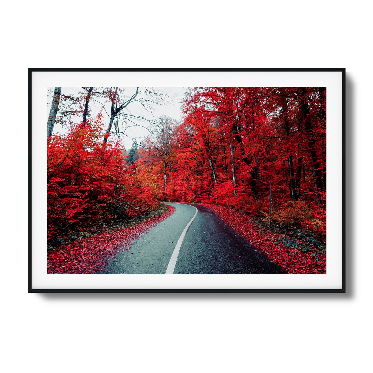 A winding road surrounded by vibrant red autumn trees, a bold choice for framed wall art.