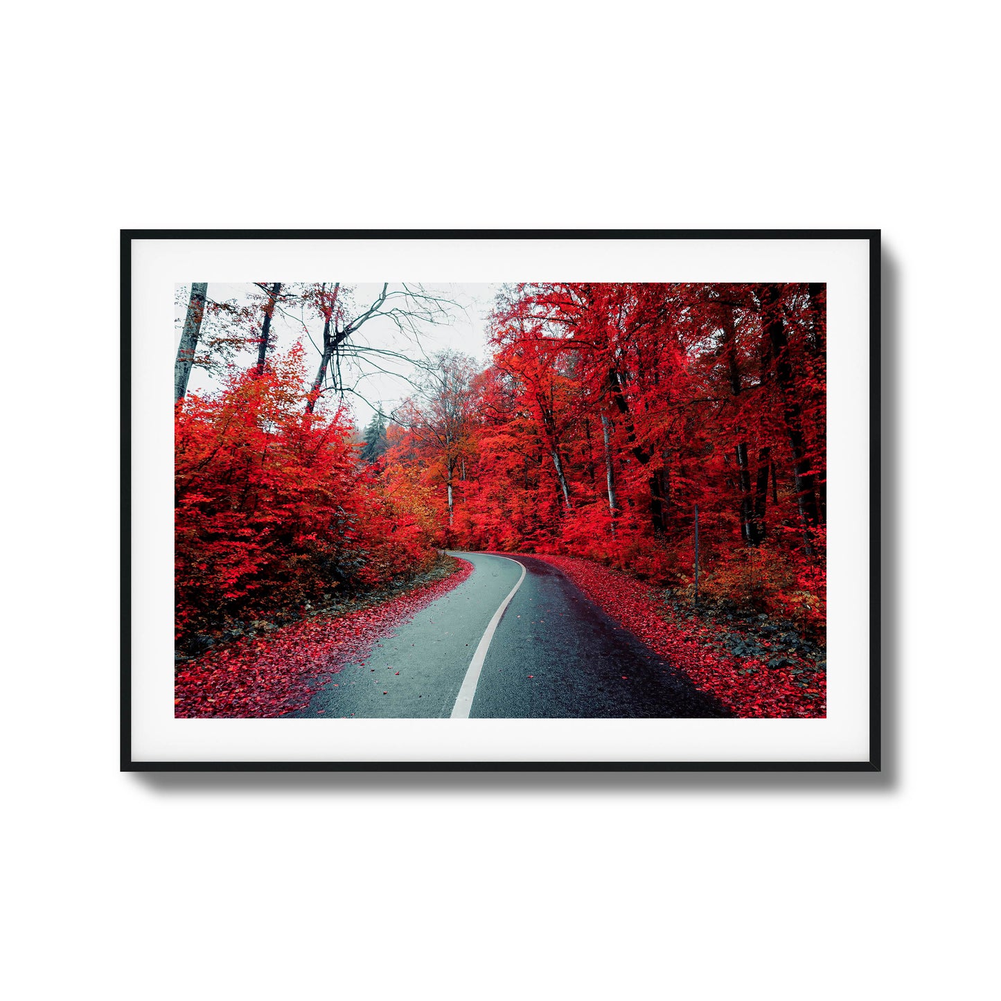 A winding road surrounded by vibrant red autumn trees, a bold choice for framed wall art.